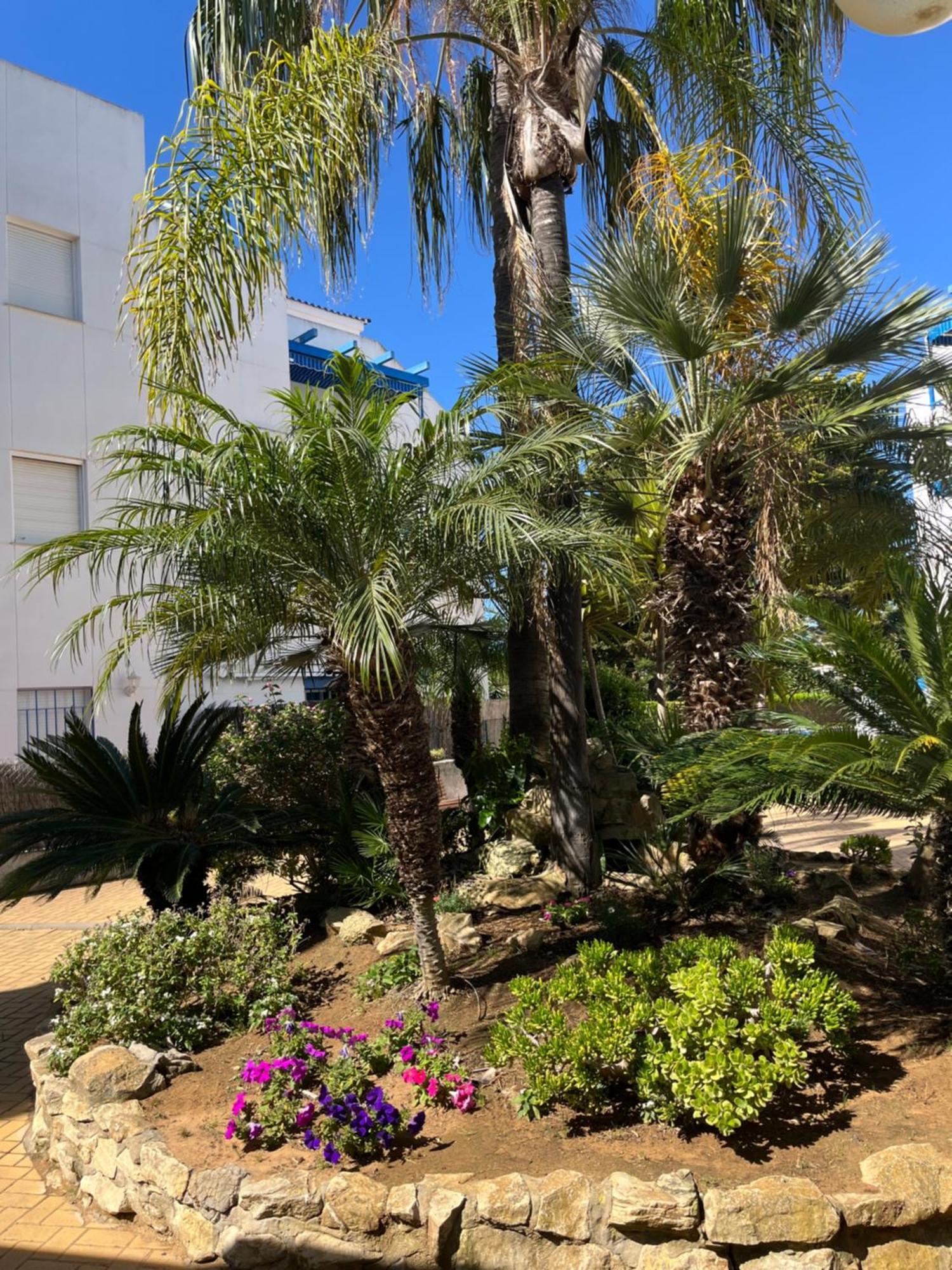 Apartamento En Costa Ballena, Urb. Playa Ballena Кадис Екстериор снимка